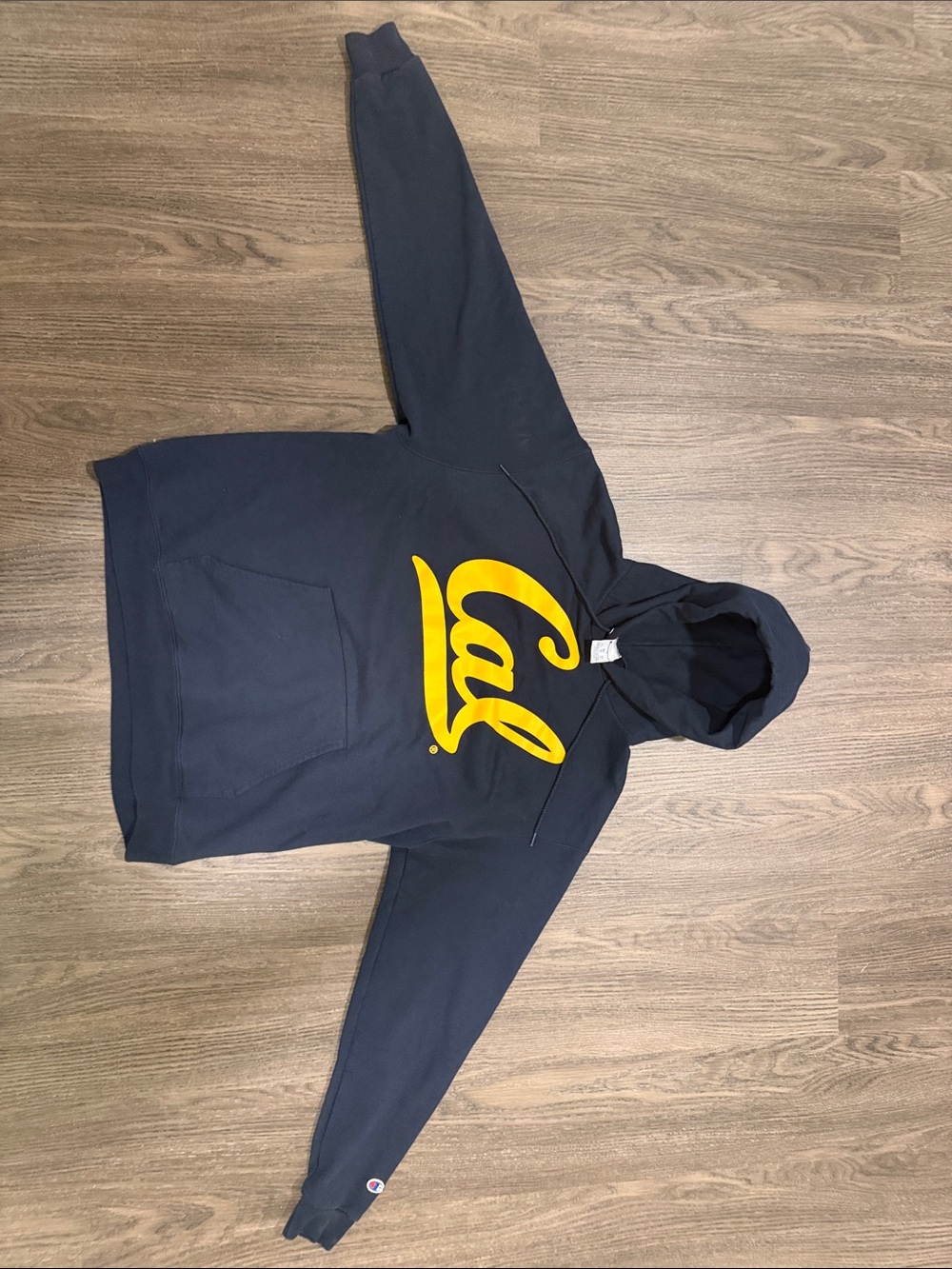 Cal State Champion Graphic Hoodie in Blue Like New